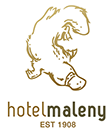 Maleny Hotel - Hotel NSW 0