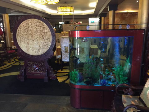 Dragon Palace - Hotel NSW 4