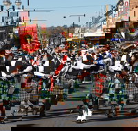 Australian Celtic Festival - Hotel NSW