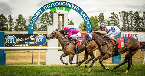 Bathurst Cup - Hotel NSW 0