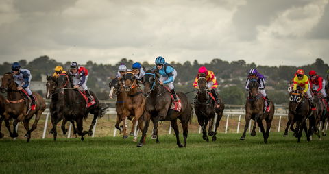 Bathurst Cup - Hotel NSW 1