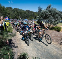 JetBlack Wild Wombat MTB Challenge - Hotel NSW