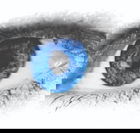 Joe Orton's What the Butler Saw - Hotel NSW