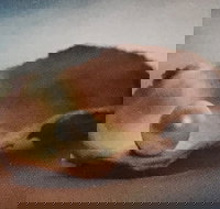 Lecture Cancelled  ADFAS  Lecture Half-Day - Patricia Law speaking on Pearls and Diamonds - Hotel NSW