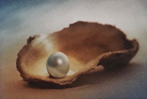 Lecture Cancelled:  ADFAS  Lecture (Half-Day) - Patricia Law Speaking On Pearls And Diamonds - Hotel NSW 0