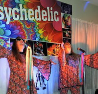 Psychedelic 70s Show The Retro Girls