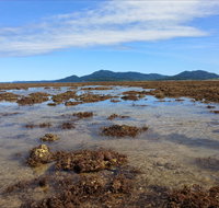 Walk to the Reef