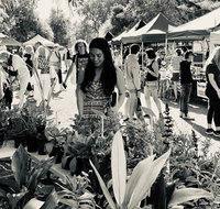 Yamba Farmers and Producers Market - Hotel NSW