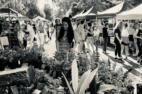 Yamba Farmers And Producers Market - Hotel NSW 0