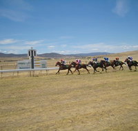 Adaminaby Cup Race Day