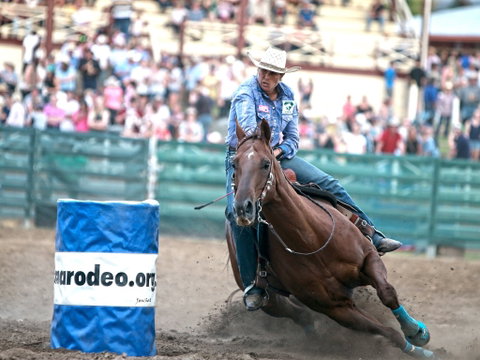 AgriWest Cooma Rodeo - Hotel NSW 1
