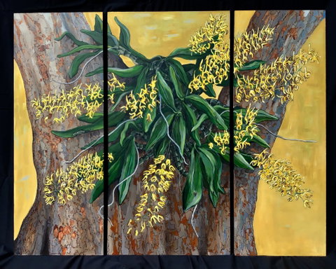 A Still Life - Solo Exhibition  Karen Sedaitis - Hotel NSW 1