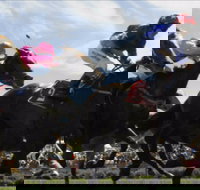 Batemans Bay Cup - Hotel NSW