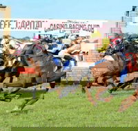 Casino Cup - Hotel NSW