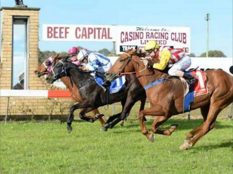 Casino Cup - Hotel NSW 0