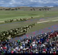 Cooma Sundowners Cup - Hotel NSW