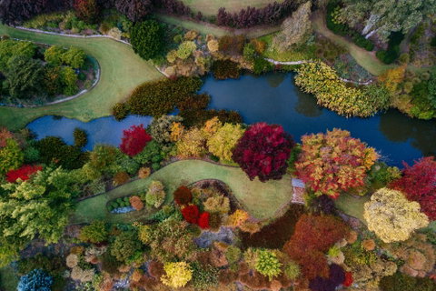 Glenrock Gardens Open Garden - Hotel NSW 0