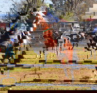 Glen Innes Pastoral and Agricultural Show - Hotel NSW