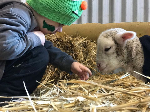 Horsham Agricultural Show - Hotel NSW 0