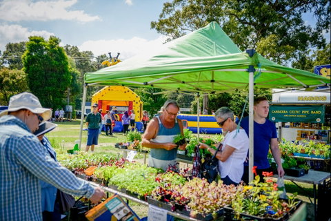Huskisson Market - Hotel NSW 0
