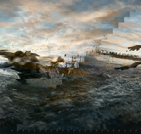 IRONMAN 70.3 Western Australia - Hotel NSW