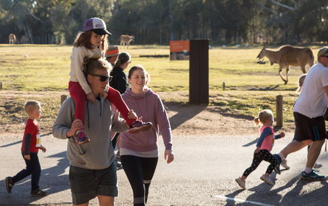 MAAS Group Dubbo Stampede Running Festival - Hotel NSW 1