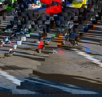 Moruya Town to Surf Fun Run - Hotel NSW