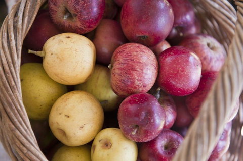 Nundle Country Picnic - Hotel NSW 2