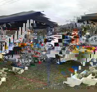 Perthville Village Fair - Hotel NSW