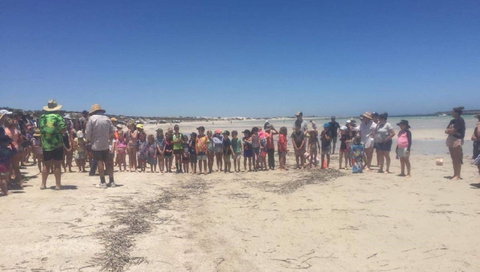 Perlubie Beach Sports Day - Hotel NSW 1