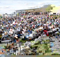 Riverfest Food Wine and Music Festival - Hotel NSW