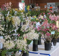 Sapphire Coast Orchid Club Spring Orchid Show - Hotel NSW
