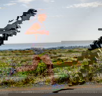 SunSmart Busselton Festival of Triathlon - Hotel NSW