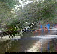 The Man From Snowy River Bush Festival - Hotel NSW