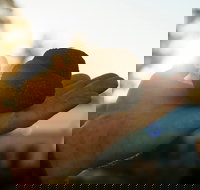 The Truffle Festival - Canberra Region - Hotel NSW