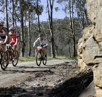 Wollombi Wild Ride Mountain Bike Ride - Hotel NSW