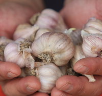 Armidale Farmers' Market - Hotel NSW
