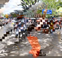 Australian National Busking Championships - Hotel NSW