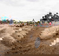 Broulee New Year's Eve Sandcastles and Sculptures - Hotel NSW