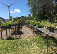 Conservation Volunteers Australia Townsville - Ocean View Nursery - Hotel NSW