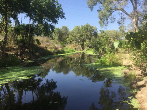Conservation Volunteers Australia Townsville - Creekwatch - Hotel NSW 0