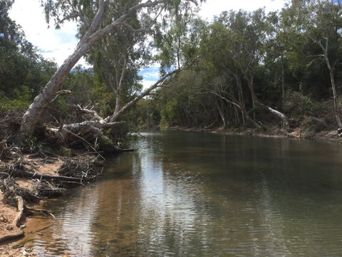 Conservation Volunteers Australia Townsville - Creekwatch - Hotel NSW 2