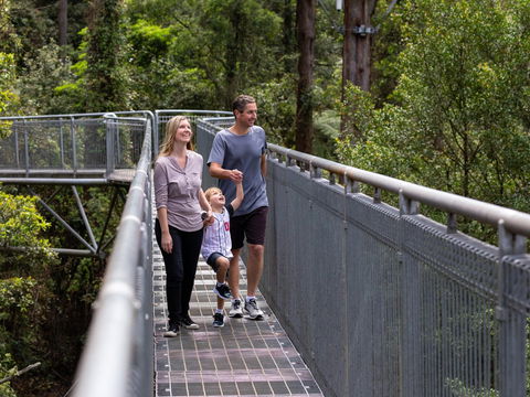 Get Back To Nature These July School Holidays! - Hotel NSW 1