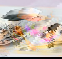 High Tea on the Turf - Hotel NSW