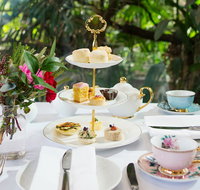 High Tea at Melbourne Zoo
