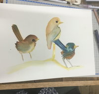 Ink  Watercolour Wash Illustration Workshop - Hotel NSW