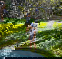 July 2020 Holidays- Forest Smores  Explore - Hotel NSW