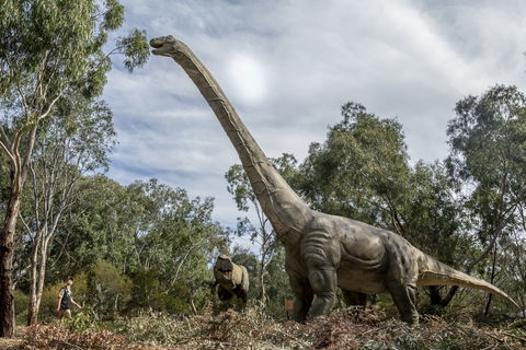 Lost Sanctuary At Healesville Sanctuary - Hotel NSW 0