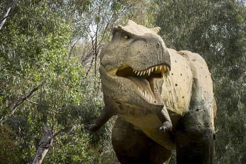 Lost Sanctuary At Healesville Sanctuary - Hotel NSW 2