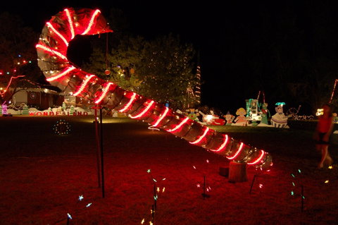Loxton Christmas Lights Festival - Hotel NSW 2